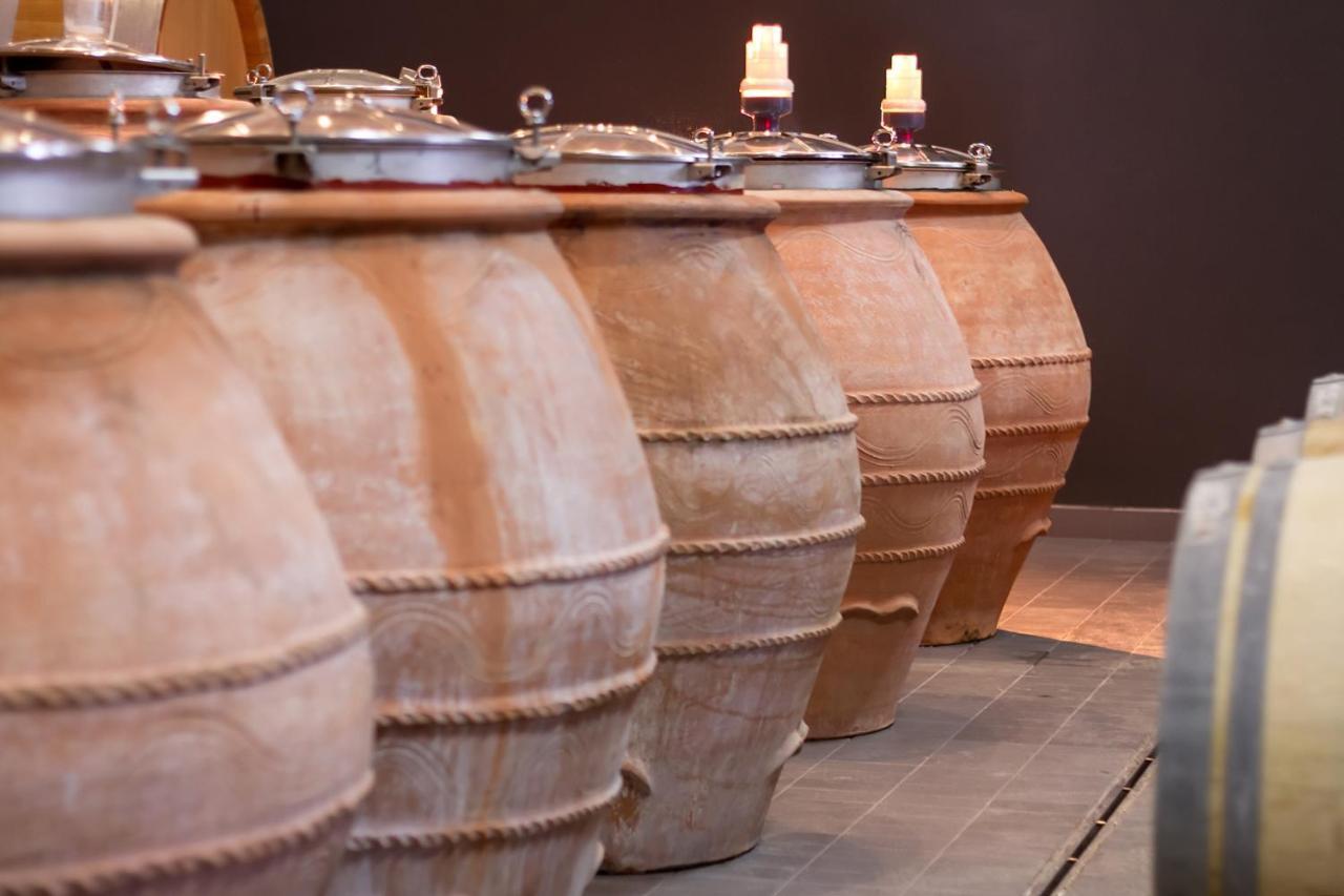 Eco Winery Lipovac Apartments Cetinje Extérieur photo